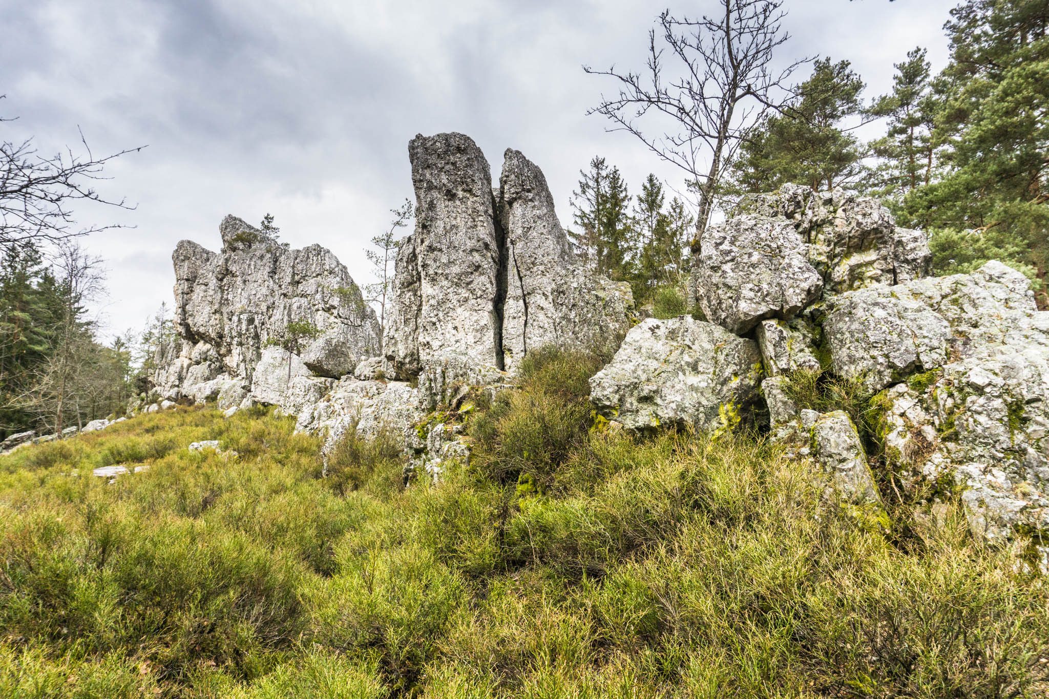 Heimat Trail Trophy Teilnehmer aufgepasst!