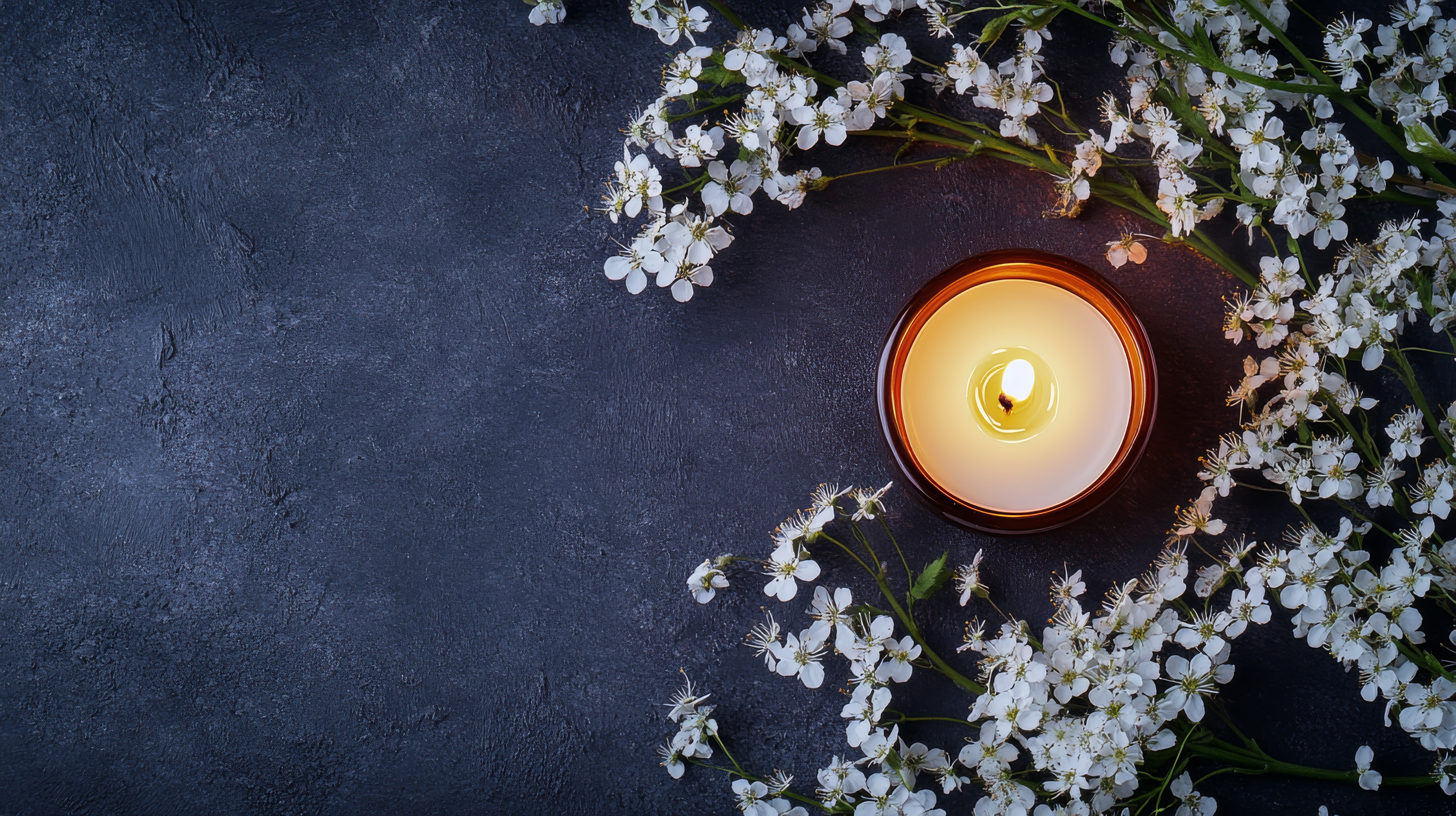 Nachruf Frau Renate Nothaft